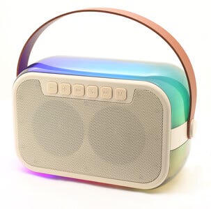 Karaokehögtalare med 2 trådlösa mikrofoner