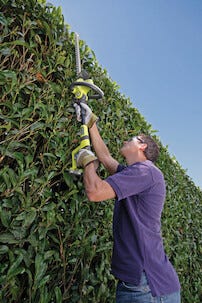 Ryobi OHT1850X 18 V häcksax