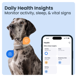 Tractive Dog 6XL GPS-tracker for stor hund