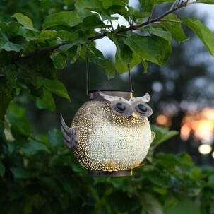 Northlight hängande solcellslykta uggla, 26 cm