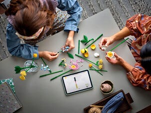 LEGO Botanical Collection Pieni aurinkoinen kukkakimppu 10347, 9+