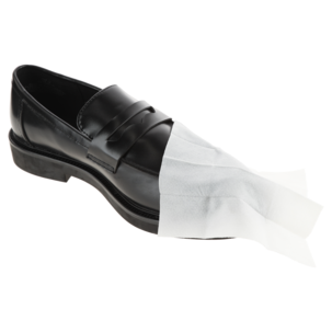 Puhdistusliinat nahkakengille 20 kpl