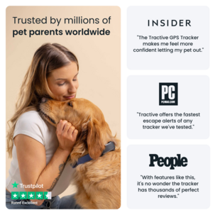 Tractive Dog 6XL GPS-tracker for stor hund