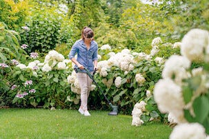 Ruohotrimmeri Bosch Easy Grasscut 18-230