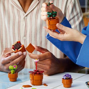 LEGO Icons Botanical Små växter 10329, från 18 år