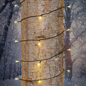 LED ljusslinga med svart kabel utomhus / inomhus, Northlight