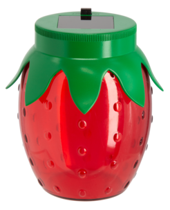 Solcellslykta Jordgubbe