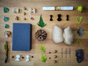 Agna Wool Art Kit Huovutustyö biisoni, 10 cm