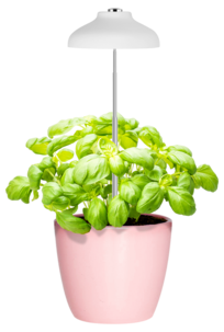 Kasvivalaisin LED ruukkukasveille, USB ja teleskooppi, valkoinen