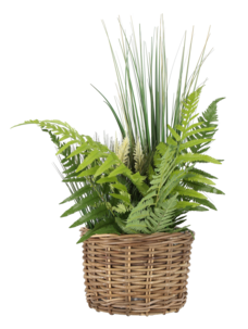 Blomkrukor av rotting