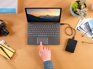 Seagate Expansion Portable extern hårddisk