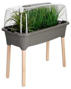 Minidrivhus for potteplanter