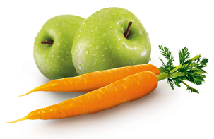 Philips Viva HR1855/70 juicemaskin 2 liter