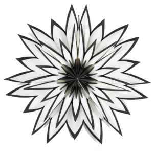 Adventsstjärna vit och svart papper, 60 cm