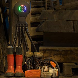 Hedgehog Octopus skotørker med 4 slanger