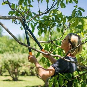 Fiskars PowerGear II L74 lang grensaks med sideskjær