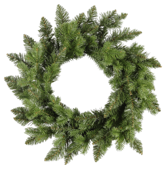 Ovikranssi kuusenhavu