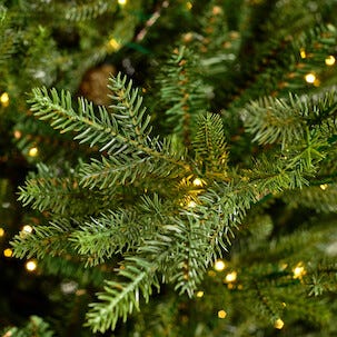 Julgran med micro LED, 210 cm, Ø 147 cm