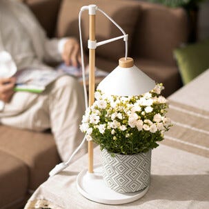 Växtlampa med lampskärm för kruka, justerbar, trä