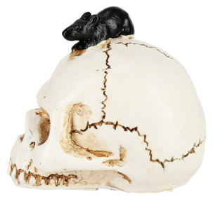 Dekoration till halloween