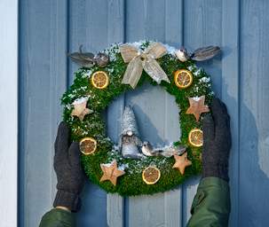 Mossa till dekoration, 100 gram