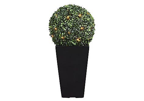 Buxbomboll med LED-belysning