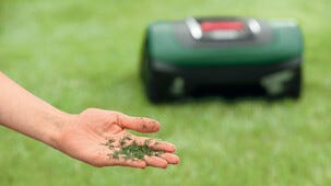 Bosch Indego M+ 700 Robottiruohonleikkuri rajakaapelilla, 700 m²