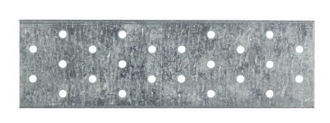 Spikbleck