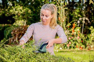 Bosch EasyShear 3,6 V, multitrimmer