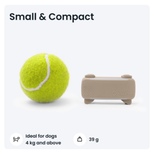 Tractive Dog 6 GPS-tracker for hund