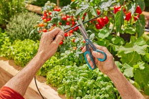 Gardena Aquabloom set L droppbevattning solcell, 30 plantor